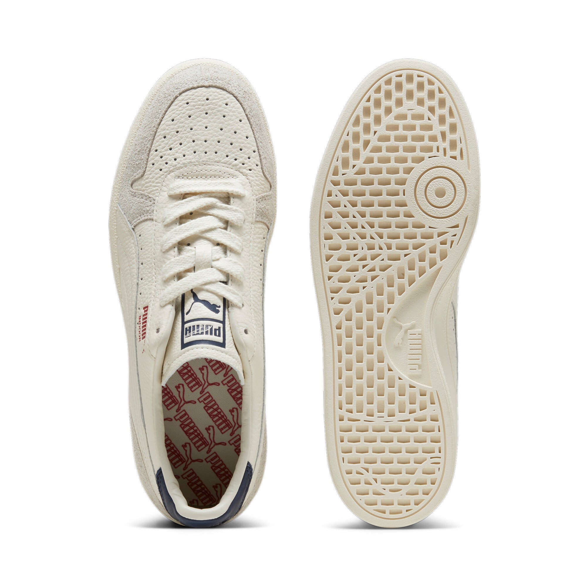 [397254-01] Mens Puma INDOOR