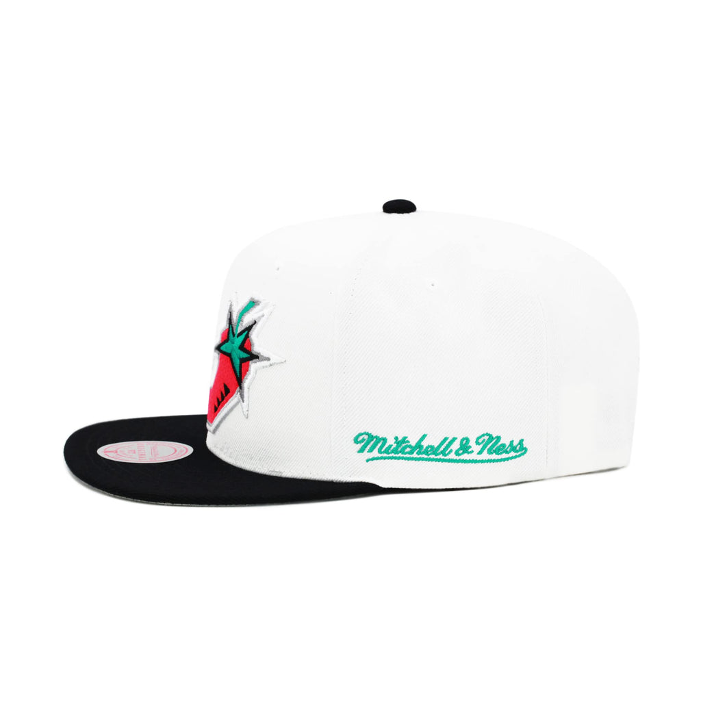 Mens MITCHELL & NESS NBA 1996 ALL-STAR SNAPBACK