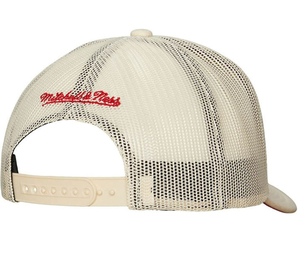 MENS MITCHELL & NESS MLB EVERGREEN TRUCKER COOP TWINS - OFF WHITE