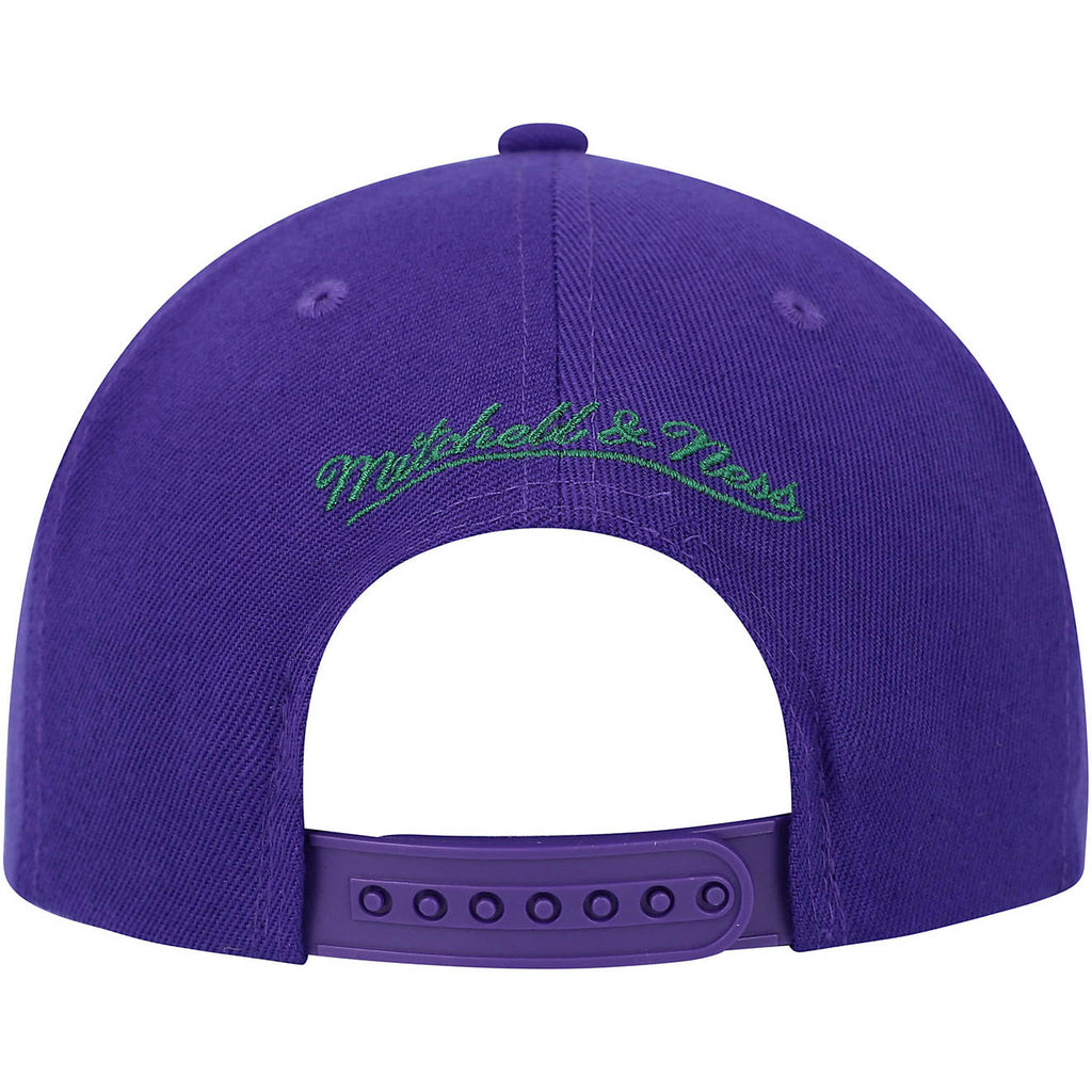 MENS MITCHELL & NESS NBA PAINT BY NUMBER SNAPBACK HWC BUCKS - PURPLE