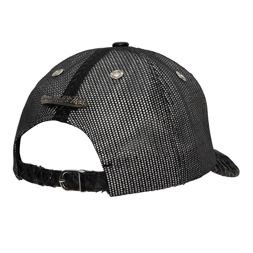 Mens MITCHELL & NESS NBA 75TH PLATINUM LUX TRUCKER RAPTORS