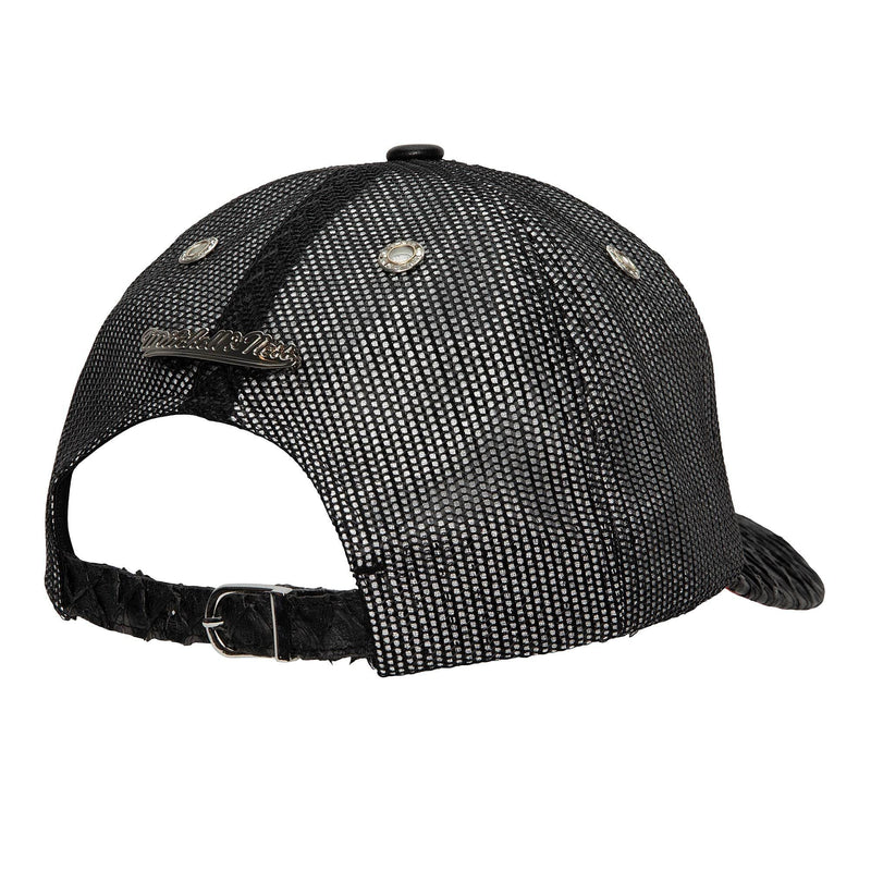 Mens MITCHELL & NESS NBA 75TH PLATINUM LUX TRUCKER RAPTORS