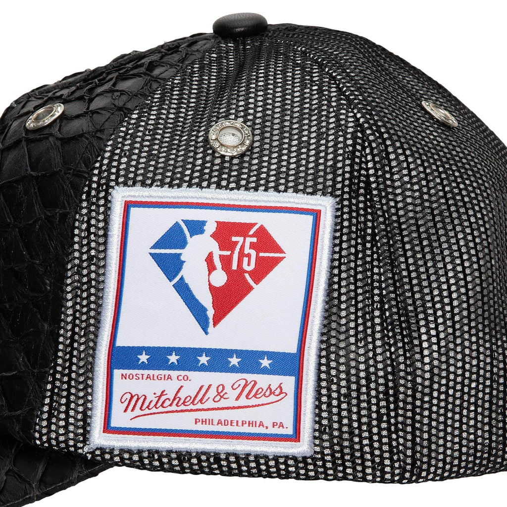 Mens MITCHELL & NESS NBA 75TH PLATINUM LUX TRUCKER RAPTORS