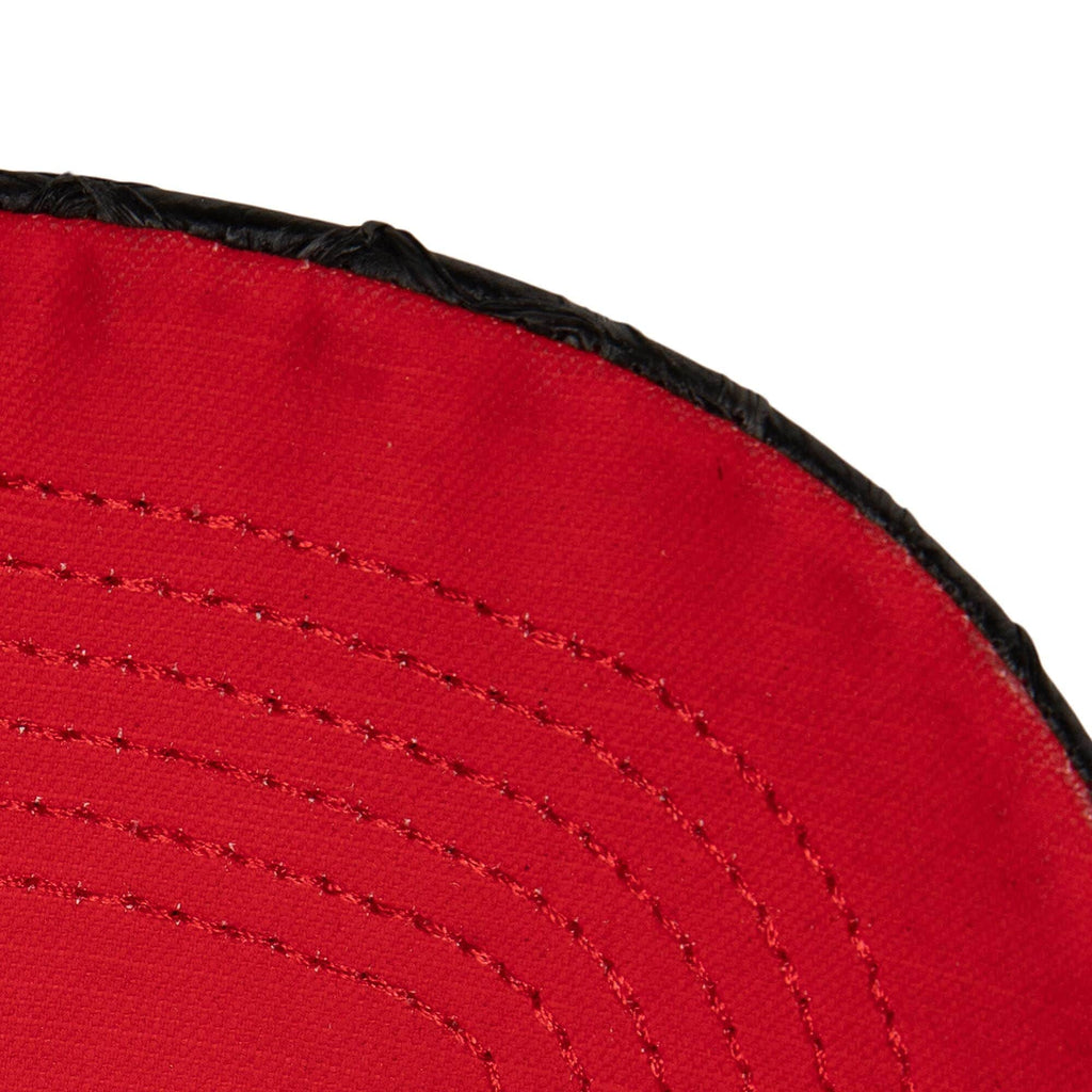 Mens MITCHELL & NESS NBA 75TH PLATINUM LUX TRUCKER RAPTORS