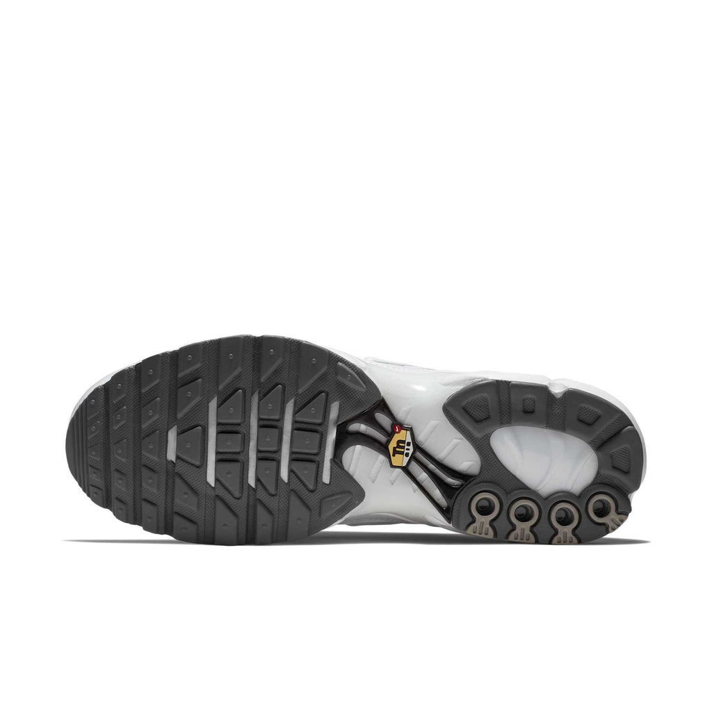 [604133-139] Mens Nike Air Max Plus