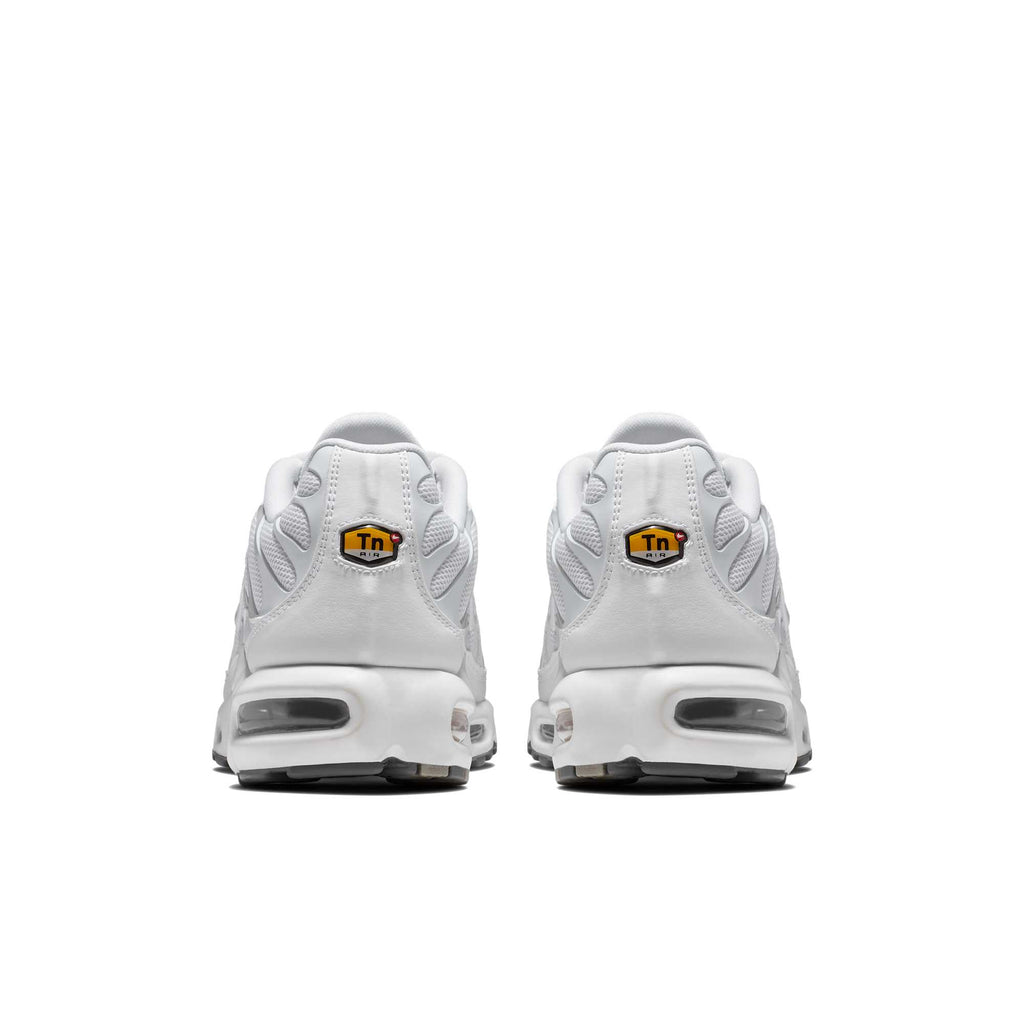 [604133-139] Mens Nike Air Max Plus
