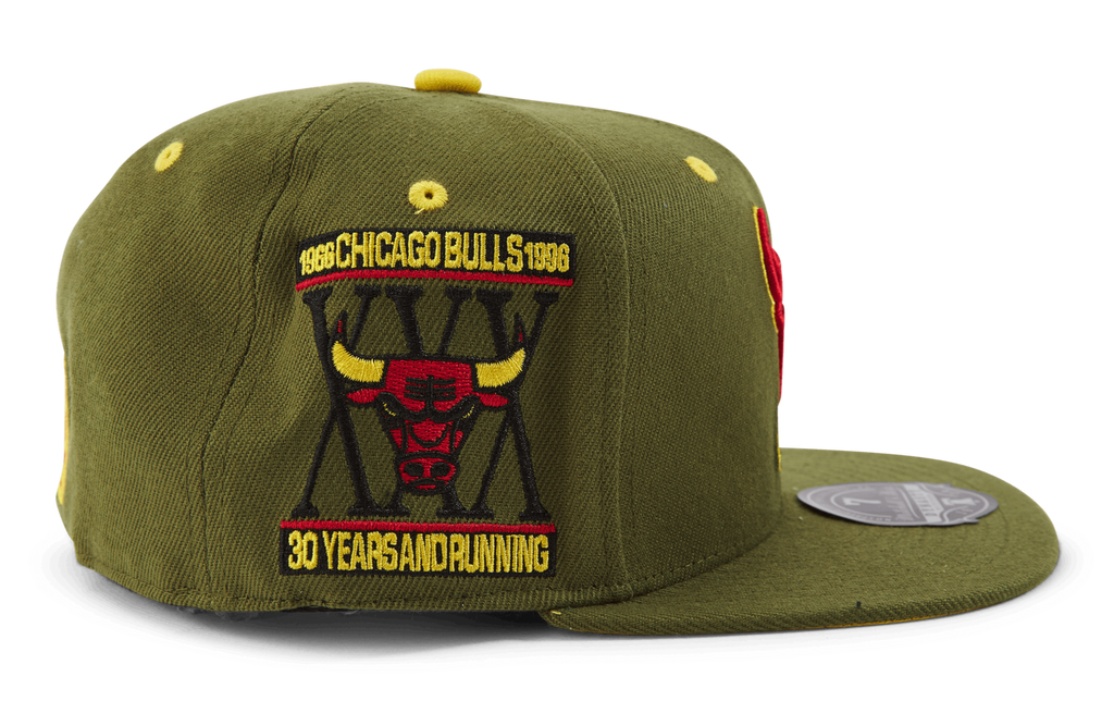 MENS MITCHELL & NESS NBA DUSTY OLIVE FITTED HWC BULLS