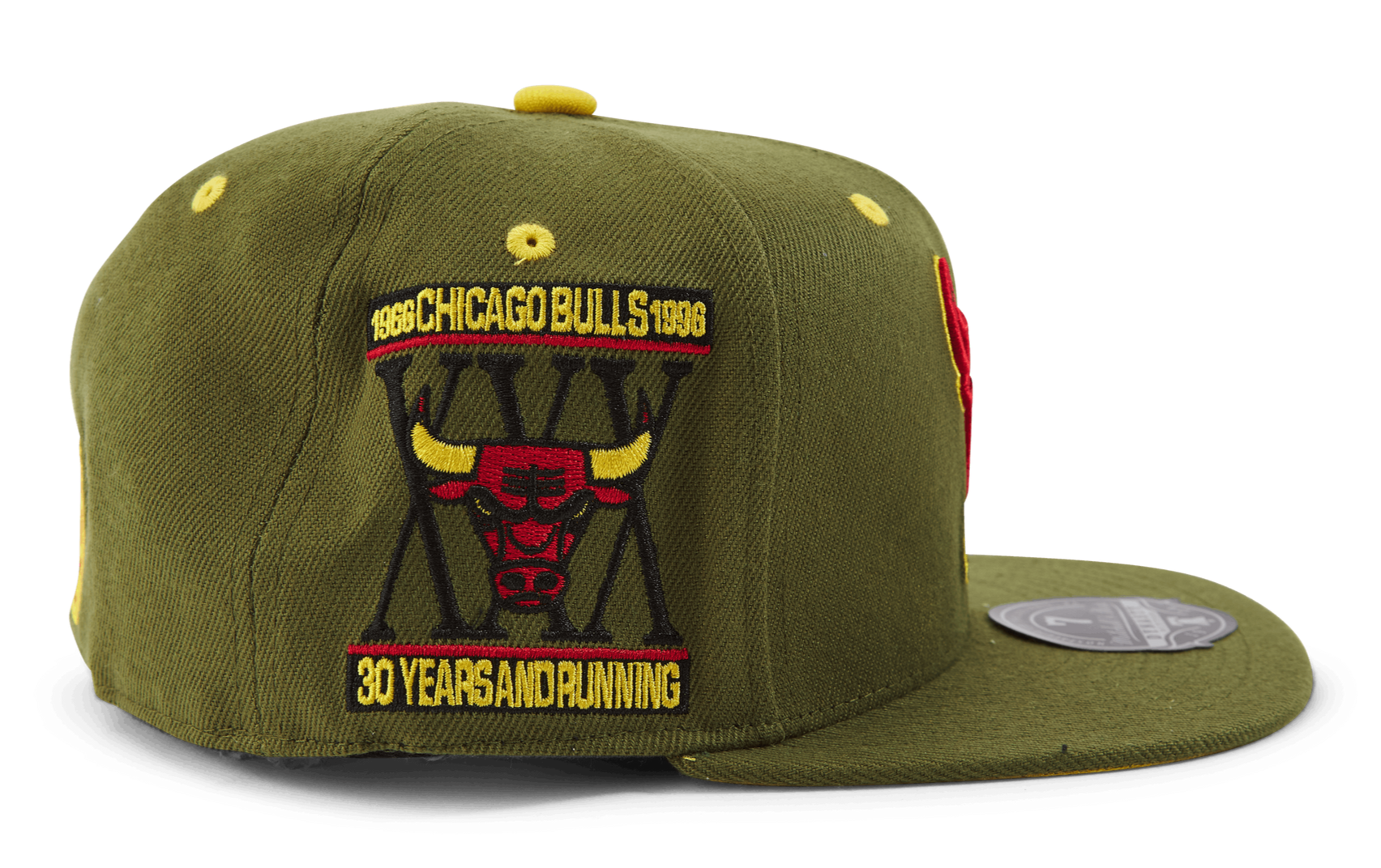 MENS MITCHELL & NESS NBA DUSTY OLIVE FITTED HWC BULLS