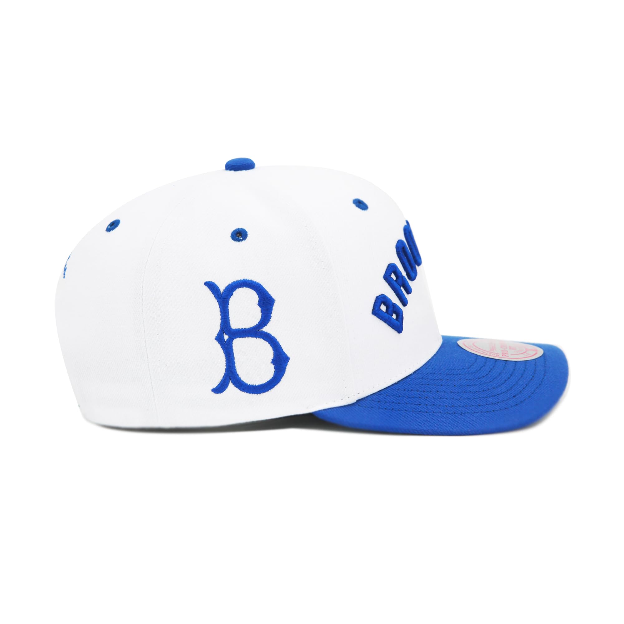 Mens Mitchell & Ness MLB EVERGREEN PRO SNAPBACK COOP DODGERS