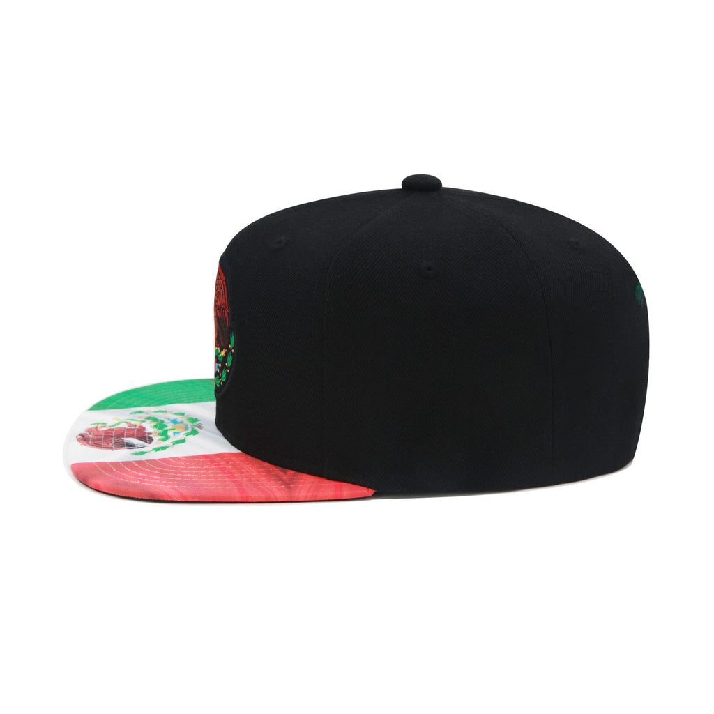 Mens Mitchell & Ness BRANDED FLAG 2 TONE SNAPBACK - MEXICAN FLAG