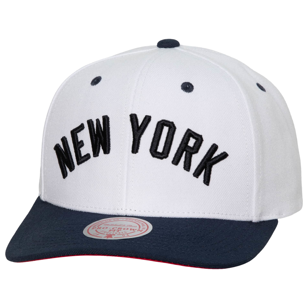 [HHSS6484-NYYYYPPPWHIT] MENS MLB NY YANKEES EVERGREEN PRO SNAPBACK