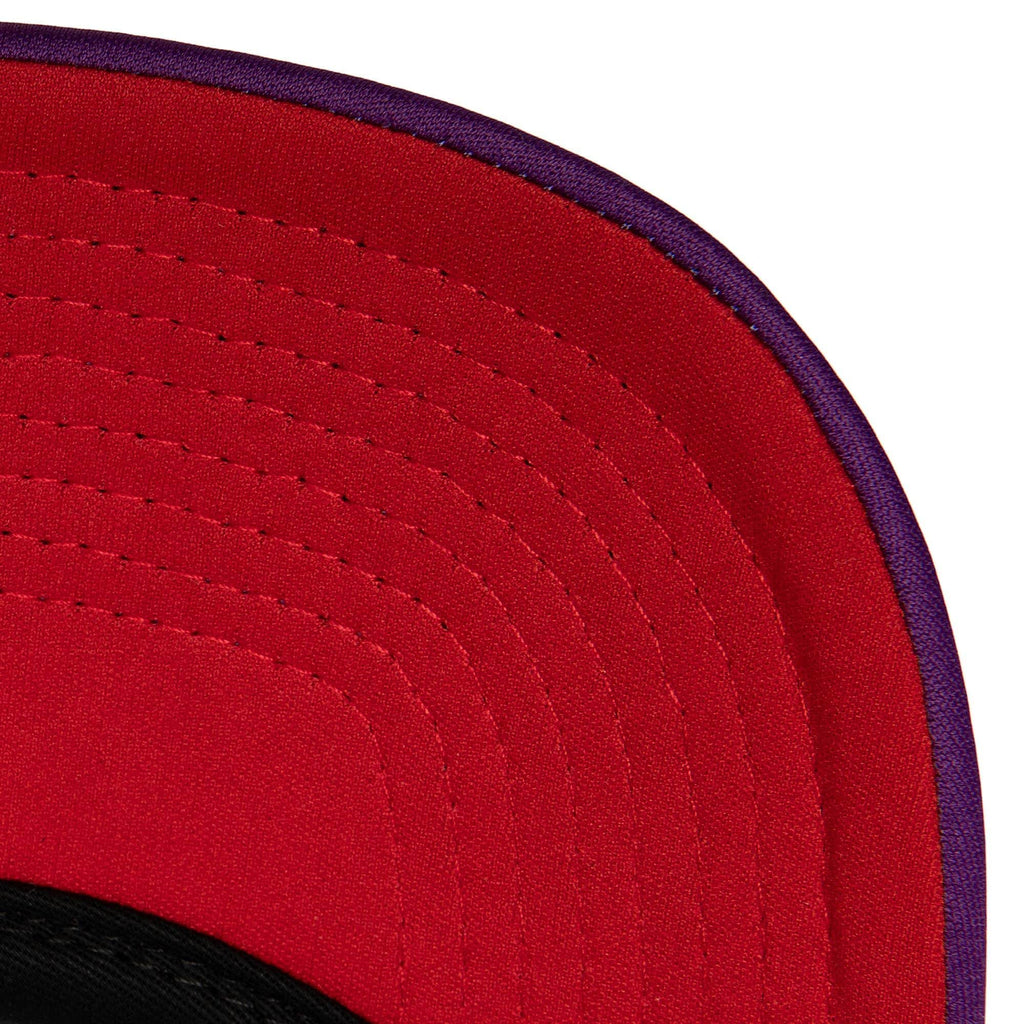 Mens MITCHELL & NESS NBA OFF THE BACKBOARD TRUCKER HWC RAPTORS