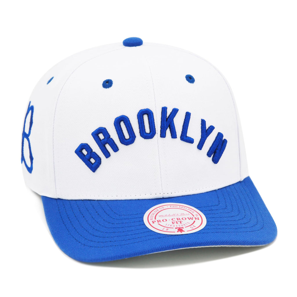 Mens Mitchell & Ness MLB EVERGREEN PRO SNAPBACK COOP DODGERS