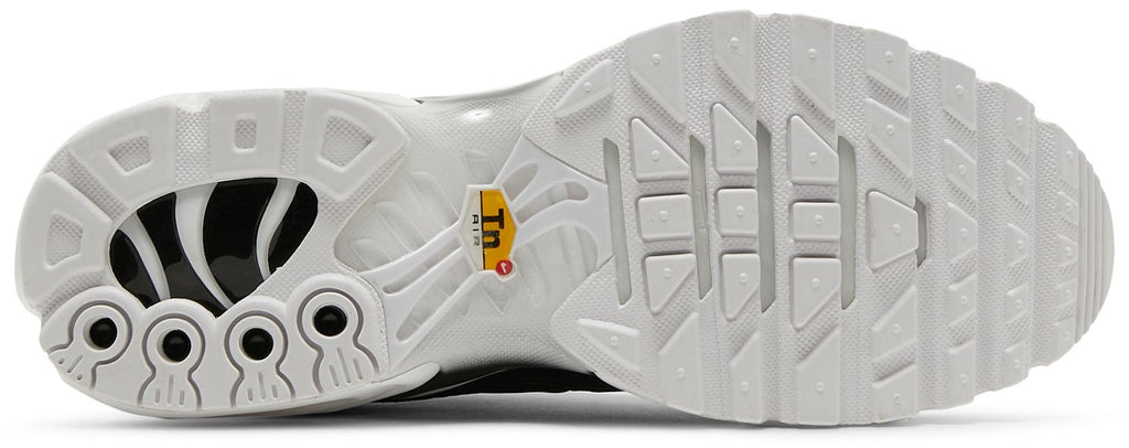 [DM2362-001] WOMENS NIKE AIR MAX PLUS