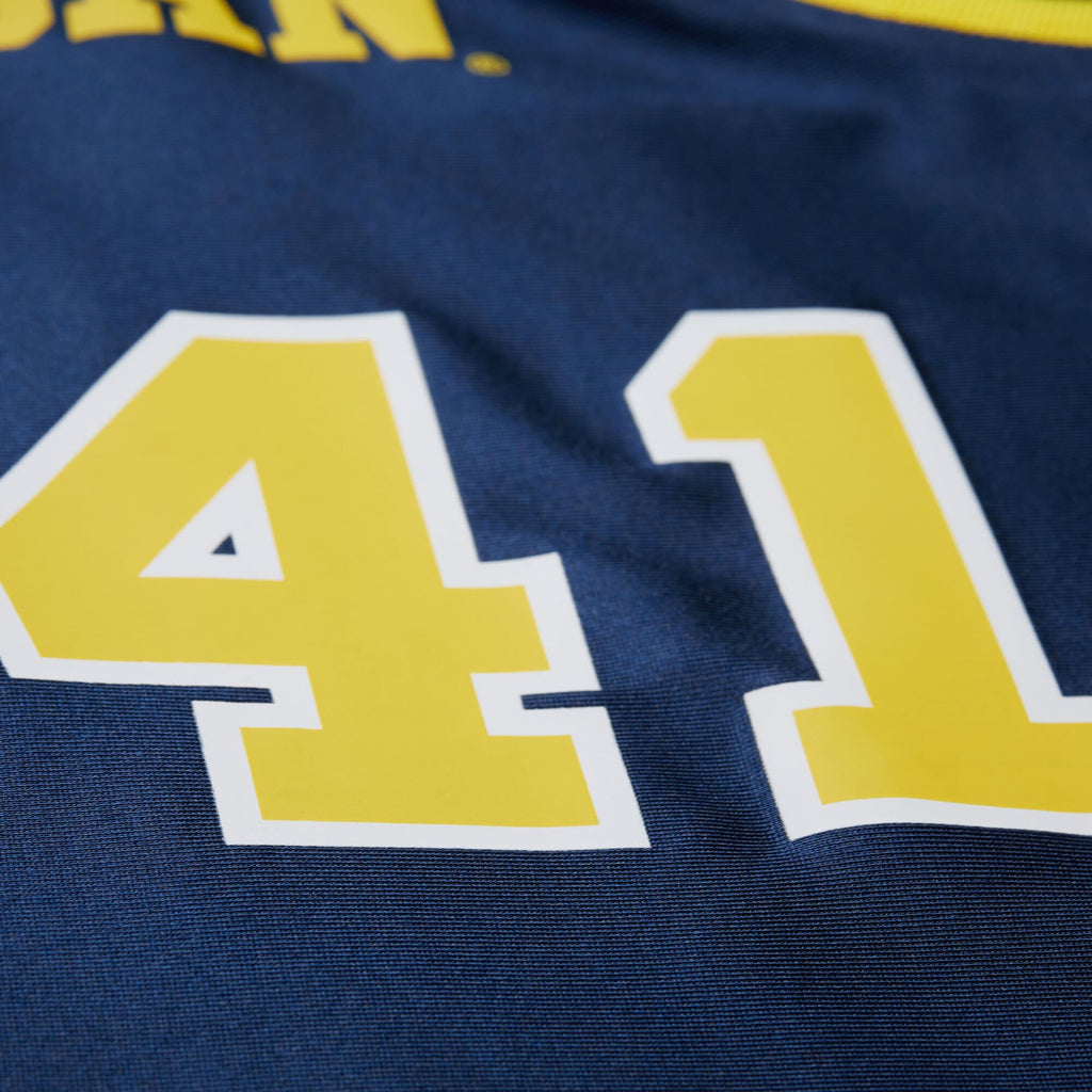 Mens Mitchell & Ness NCAA DARK JERSEY MICHIGAN WOLVERINES 1989 GLEN RICE