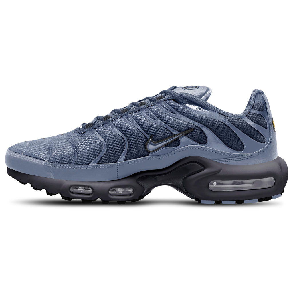 [DM0032-404] MENS NIKE AIR MAX PLUS 'WORLD INDIGO'