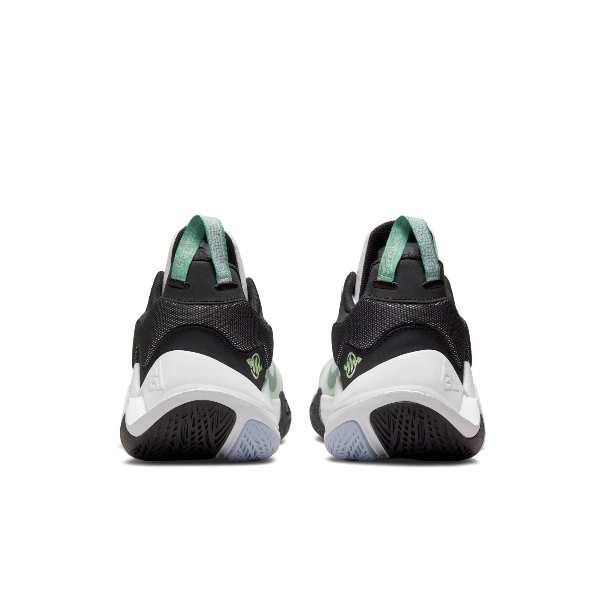[DM0825-101] Mens Nike GIANNIS IMMORTALITY2