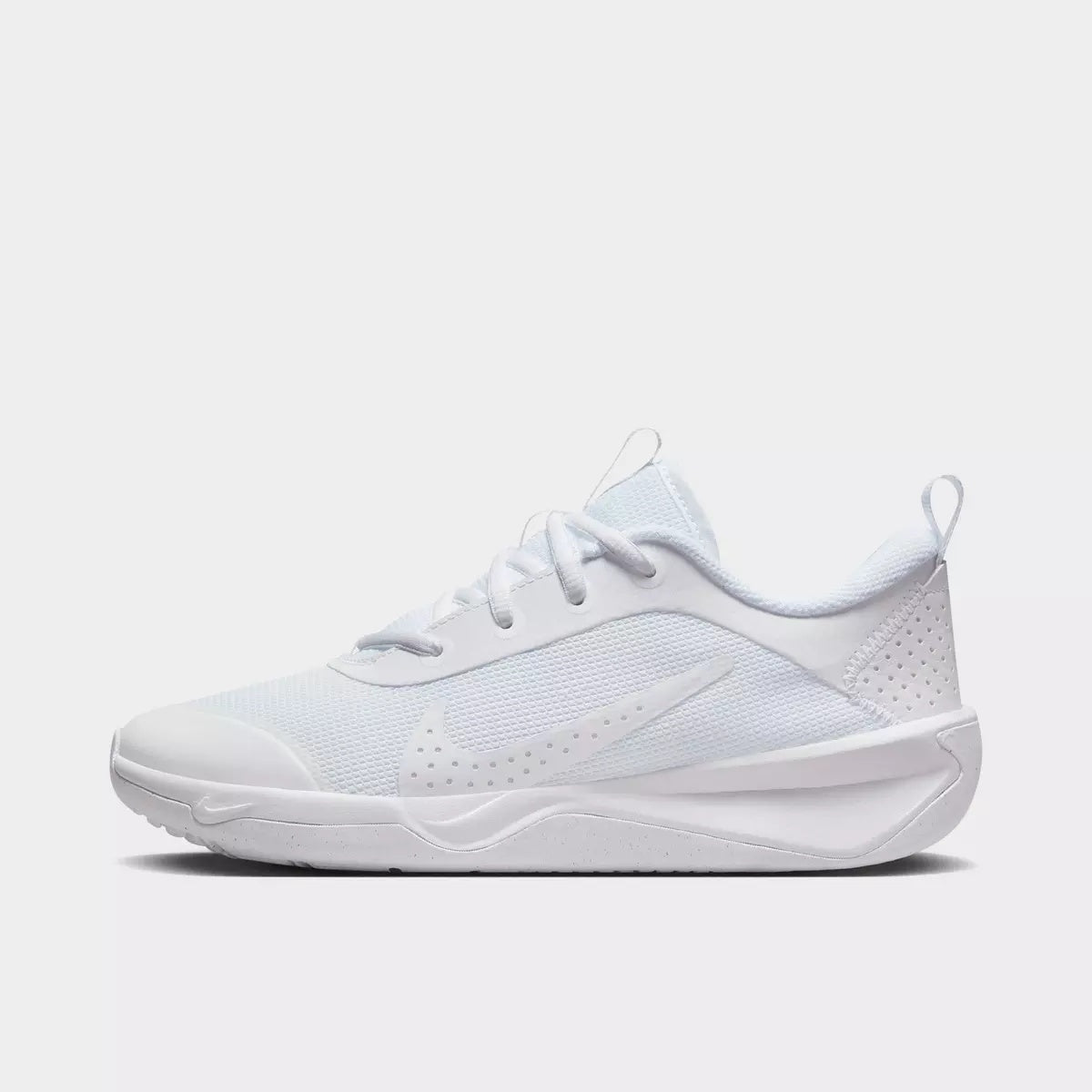 DM9027-100 Finish Line 1