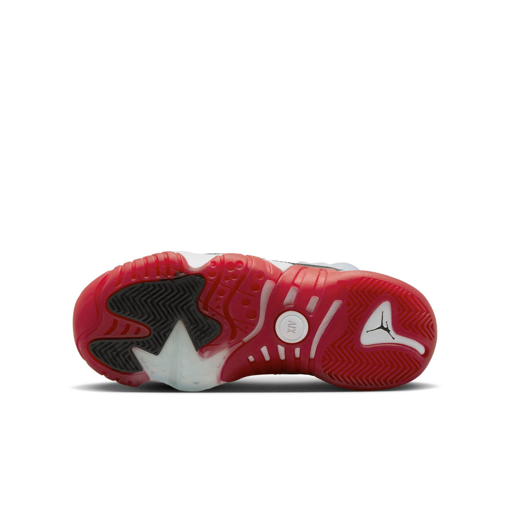 [DQ8431-106] Grade School Air Jordan JUMPMAN TWO TREY 'CONCORD BRED (GS)'