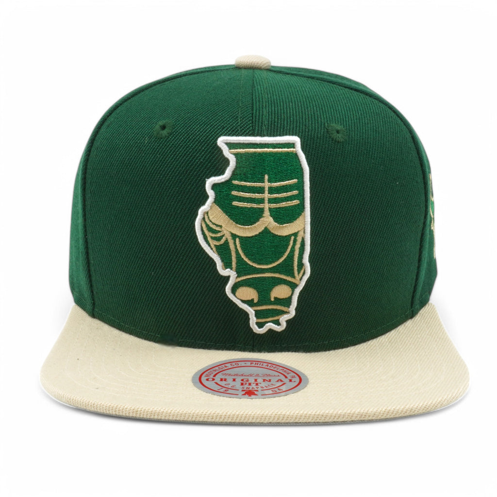 Mens Mitchell & Ness NBA STATE OUTLINE SNAPBACK BULLS