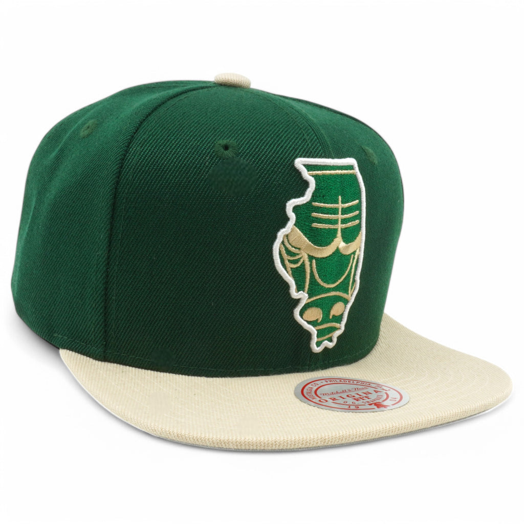 Mens Mitchell & Ness NBA STATE OUTLINE SNAPBACK BULLS