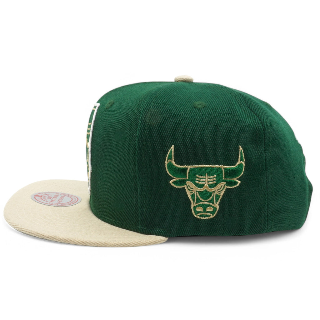 Mens Mitchell & Ness NBA STATE OUTLINE SNAPBACK BULLS