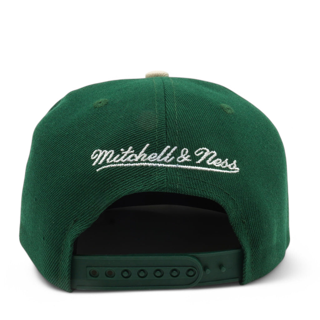 Mens Mitchell & Ness NBA STATE OUTLINE SNAPBACK BULLS