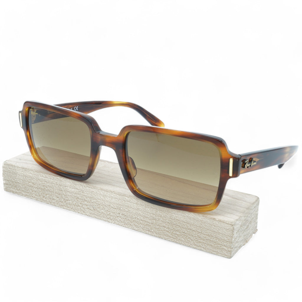 [RB2189-954/51_54] UNISEX RAY-BAN BENJI SUNGLASSES
