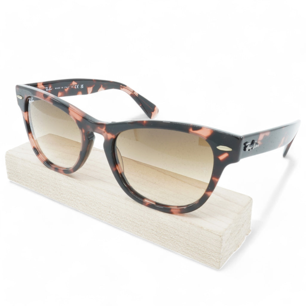 [RB2201-1334/51_54] UNISEX RAY-BAN LARAMIE SUNGLASSES
