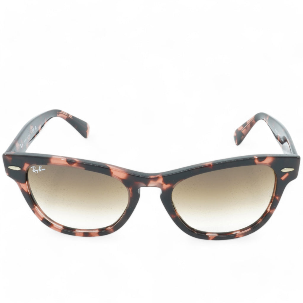 [RB2201-1334/51_54] UNISEX RAY-BAN LARAMIE SUNGLASSES