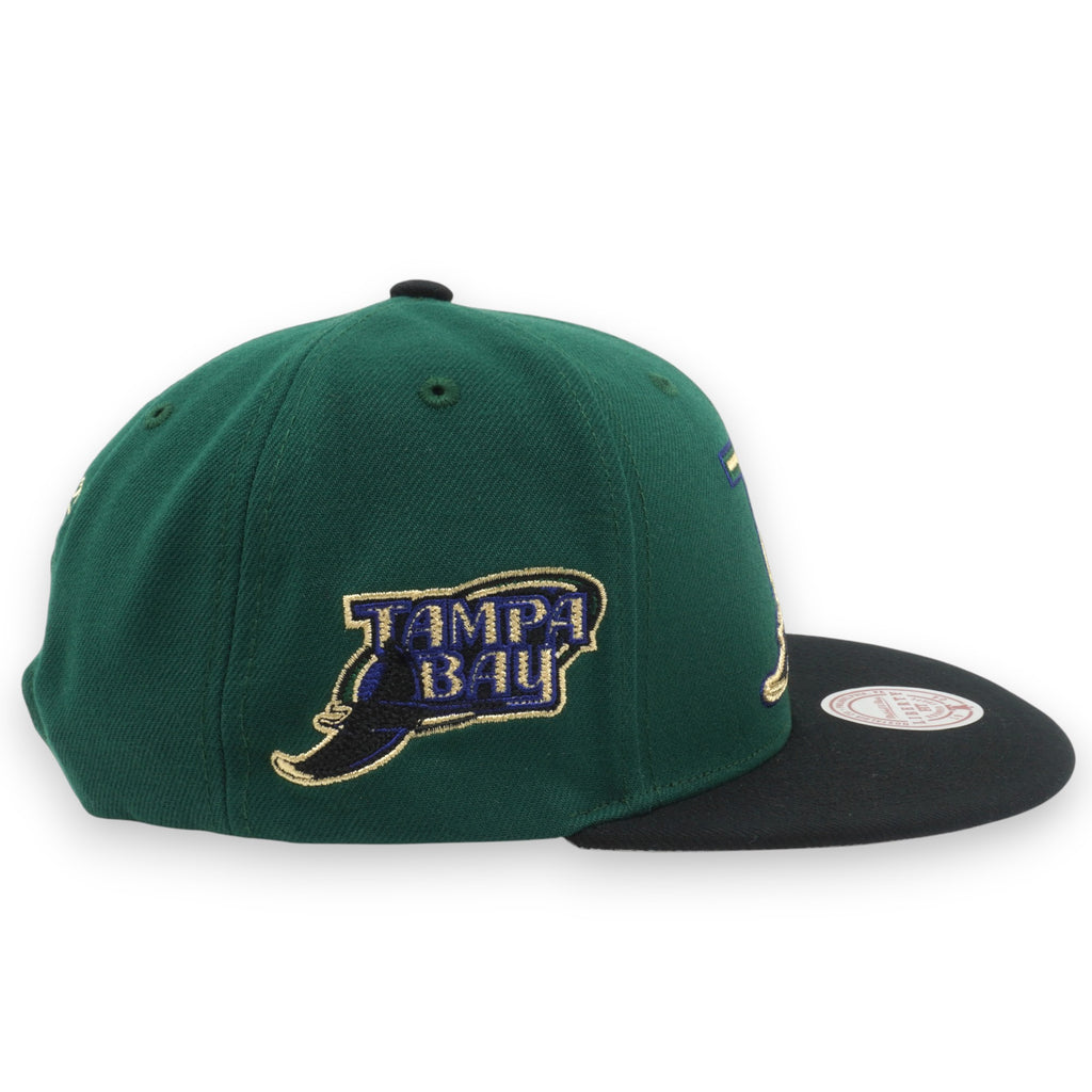 MENS MITCHELL & NESS MLB JUMP OFF SNAPBACK COOP RAYS - GREEN