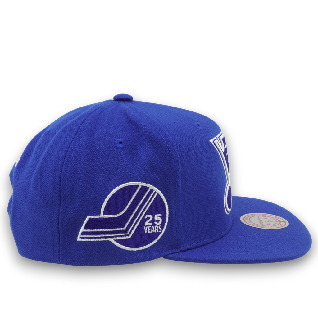 MENS MITCHELL & NESS NHL BACK TO BASICS SNAPBACK BLUES - BLUE