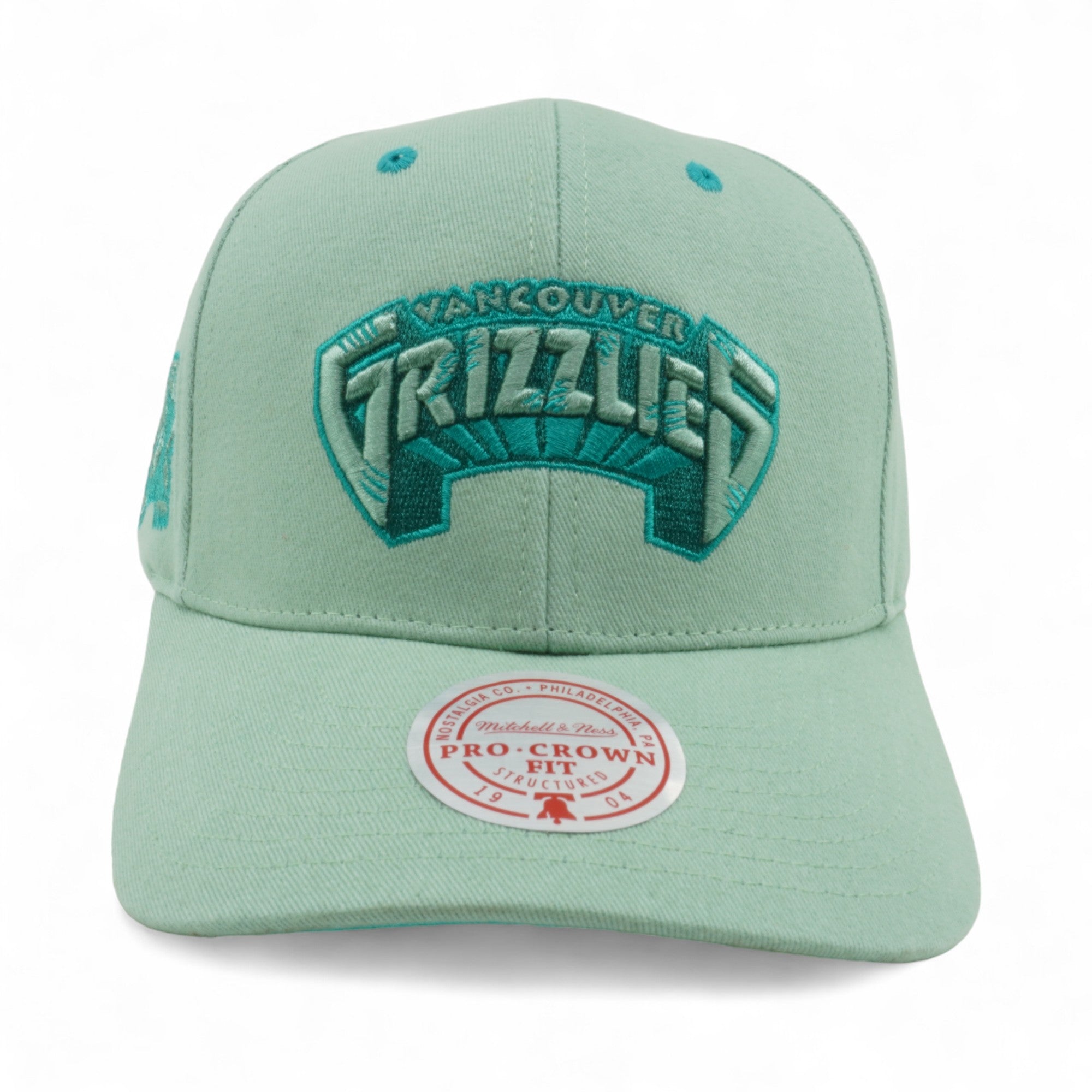 Mens MITCHELL & NESS NBA SPACE KNIT PRO SNAPBACK HWC GRIZZLIES