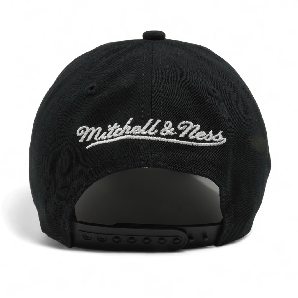 Mens MITCHELL & NESS NBA UPSIDE DOWN LOW PRO NETS