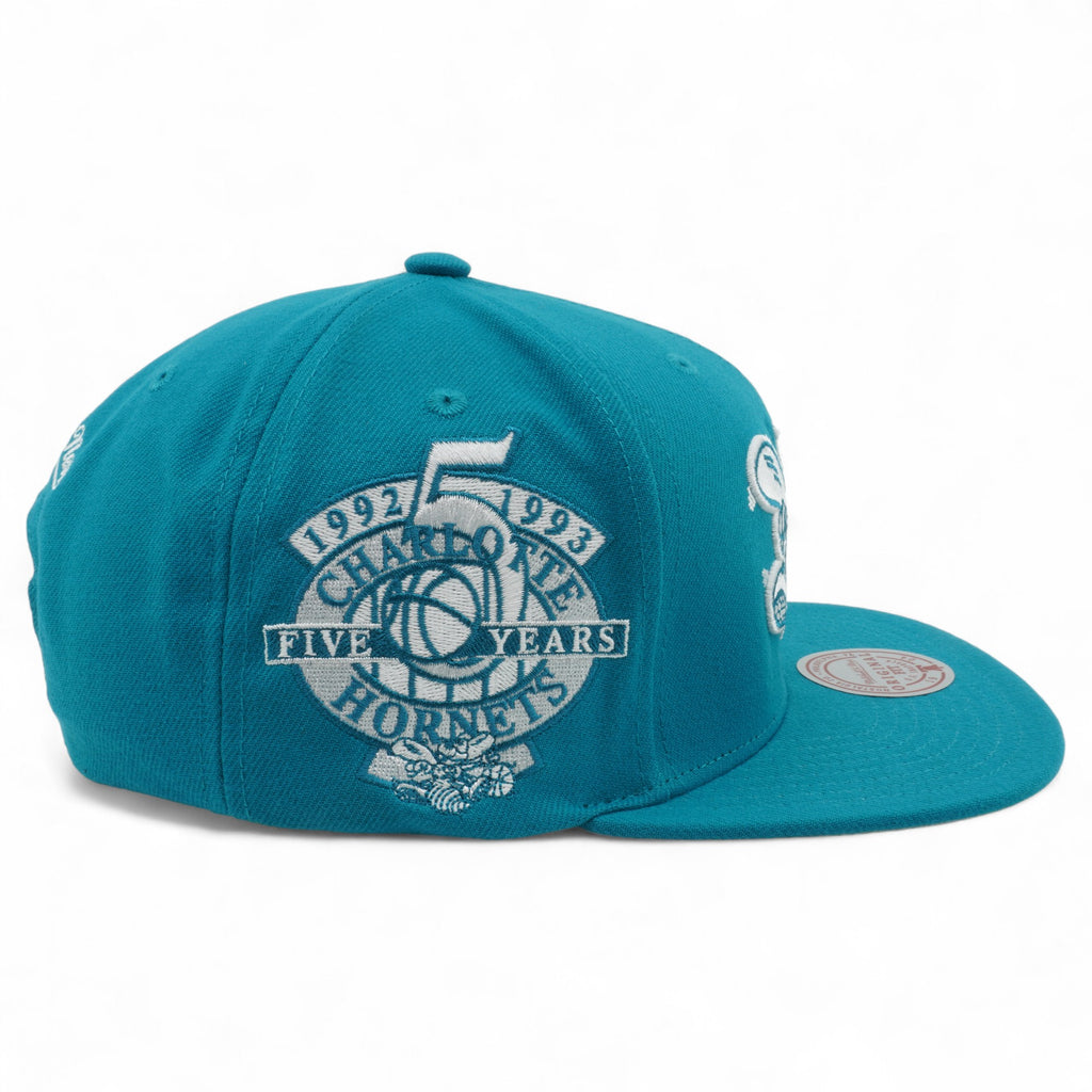 Mens MITCHELL & NESS NBA BACK TO BASICS SNAPBACK HWC HORNETS