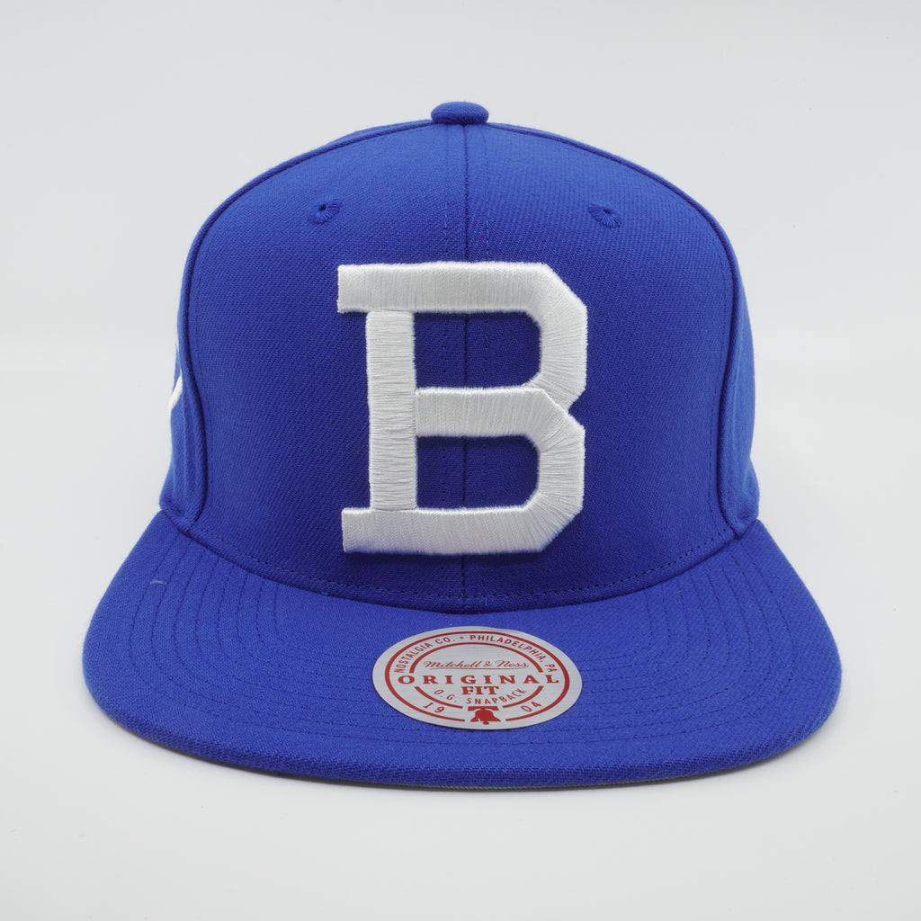 MENS MITCHELL & NESS MLB BACK TO BASICS SNAPBACK COOP DODGERS - BLUE