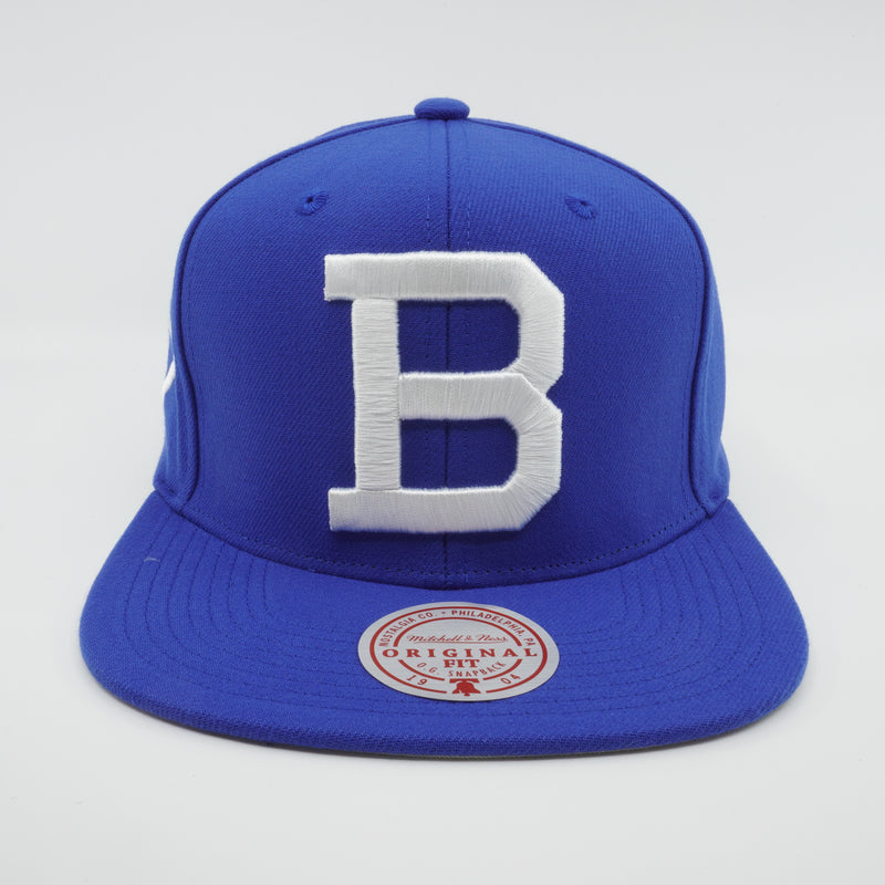MENS MITCHELL & NESS MLB BACK TO BASICS SNAPBACK COOP DODGERS - BLUE