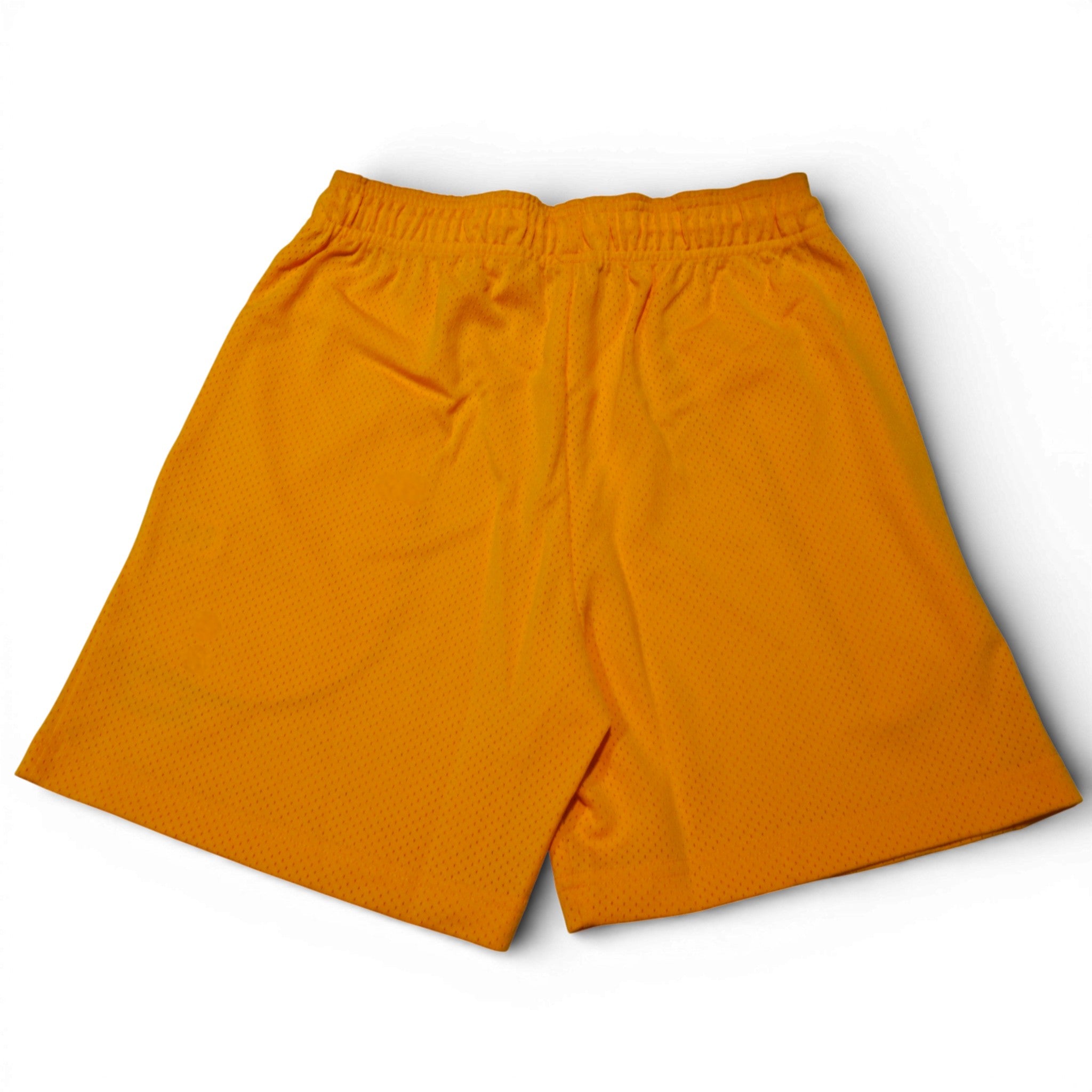 [SHCORMSH-GLDWHT] MENS ERIC EMANUEL EE SHORTS CORE MESH