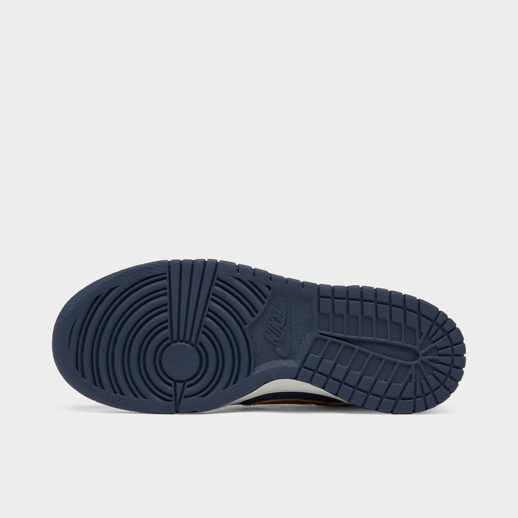 [DX1663-400] GRADE SCHOOL NIKE DUNK LOW SE 'COPPER SWOOSH (GS)'