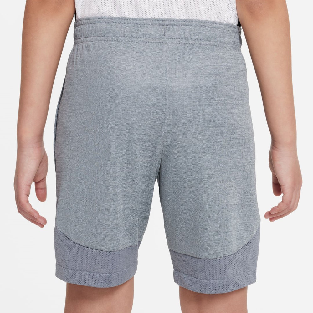 [DX5465-065] YOUTH NIKE ACADEMY SHORTS