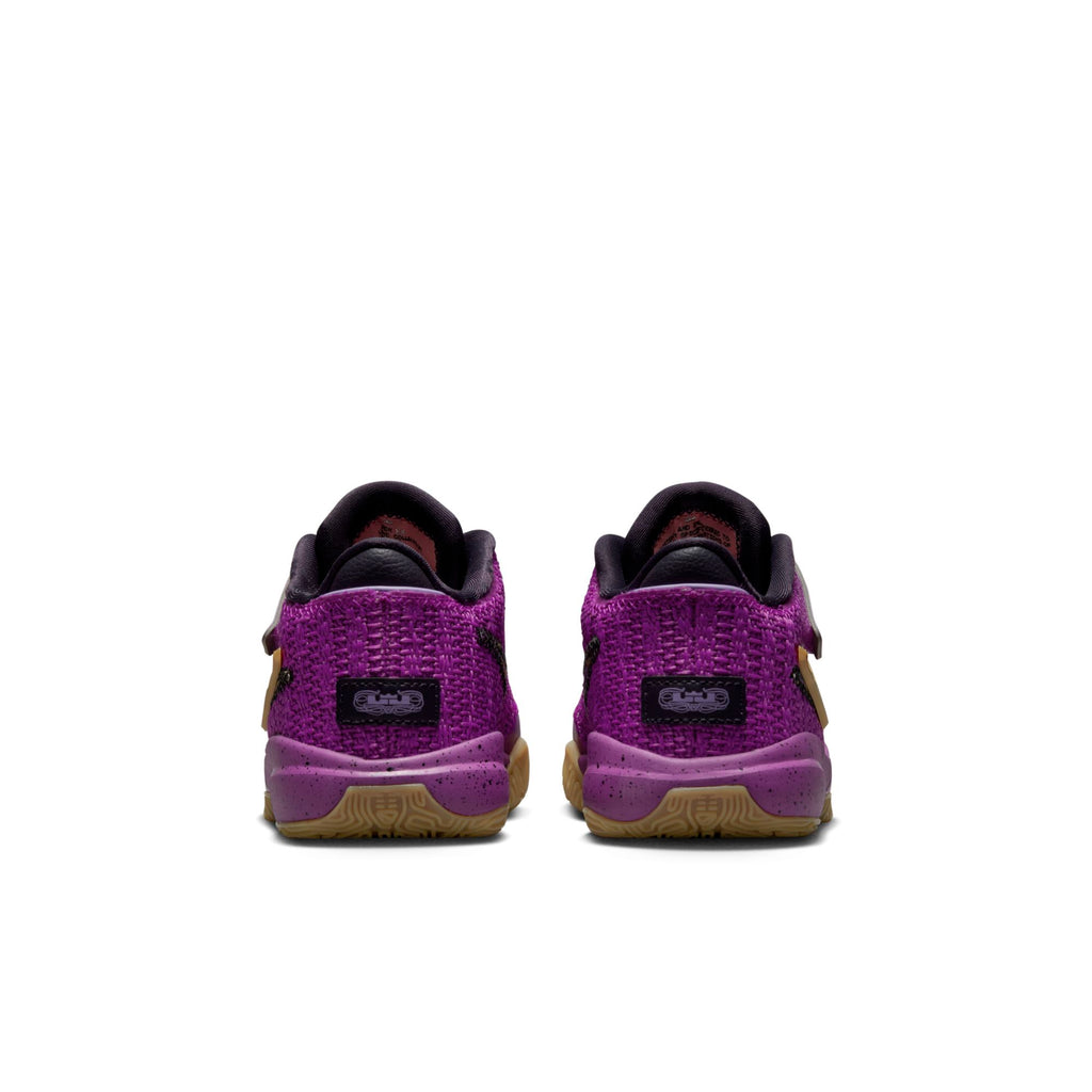 [FD0208-500] Preschool Nike LEBRON 20 SE 'VIVID PURPLE (PS)'