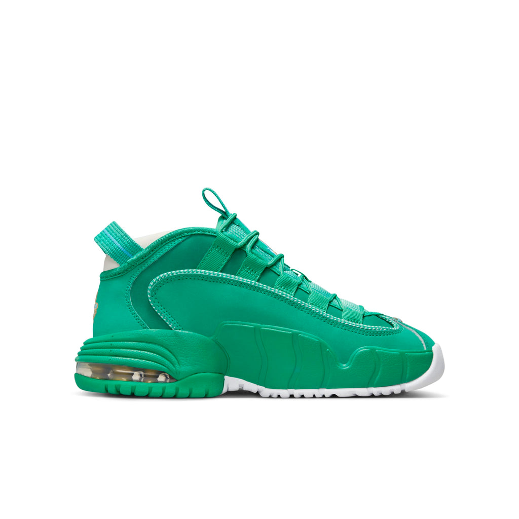 [FQ8349-324] Grade School Nike AIR MAX PENNY