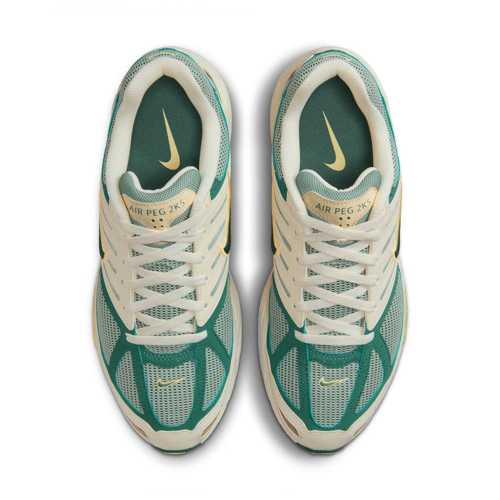 [FZ2590-100] Mens Nike AIR PEGASUS 2005