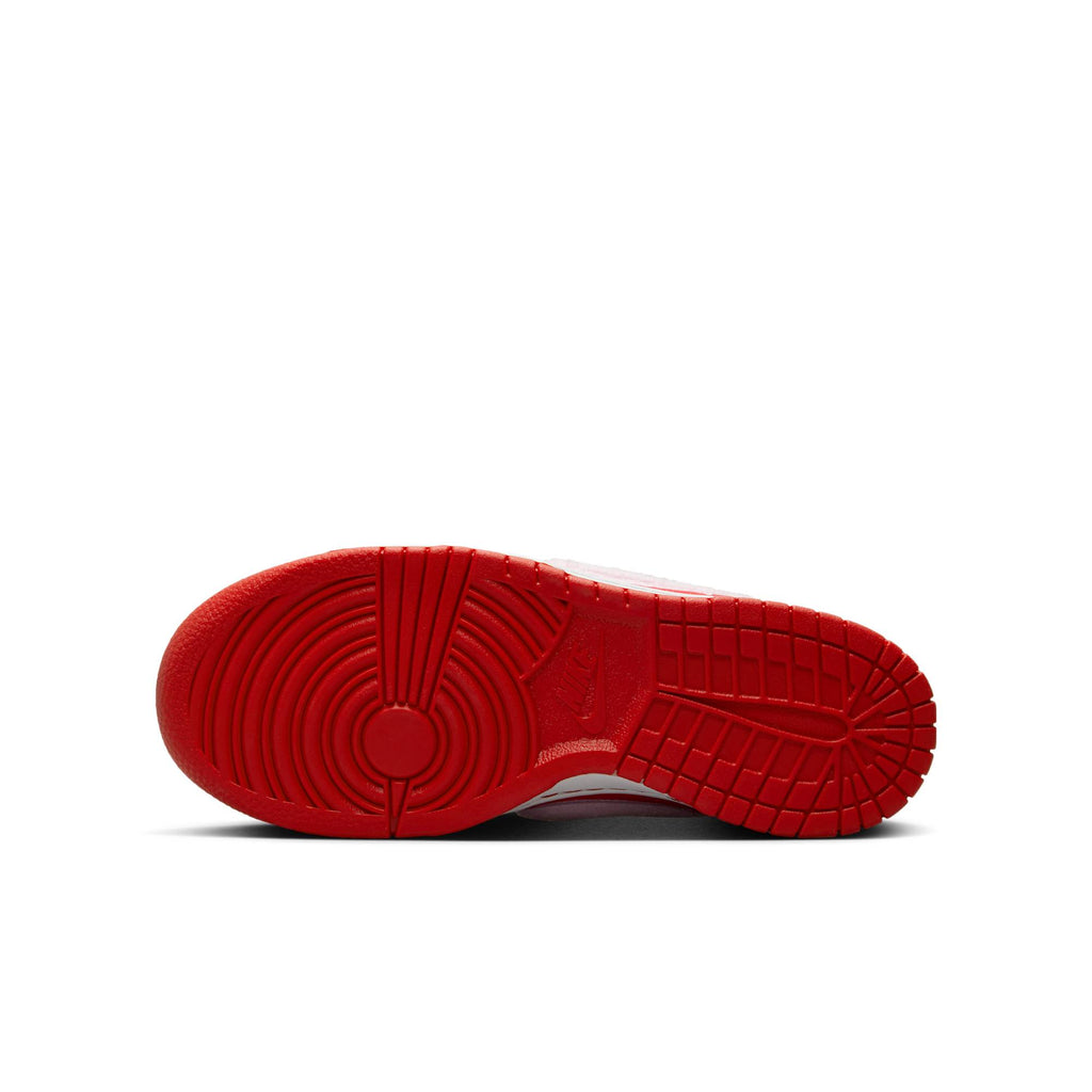 [FZ3548-612] GRADE SCHOOL NIKE DUNK LOW
