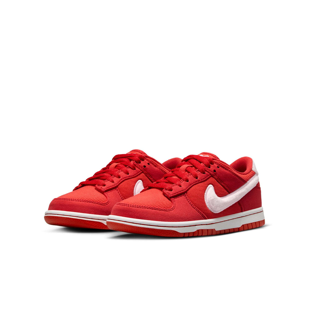 [FZ3548-612] GRADE SCHOOL NIKE DUNK LOW