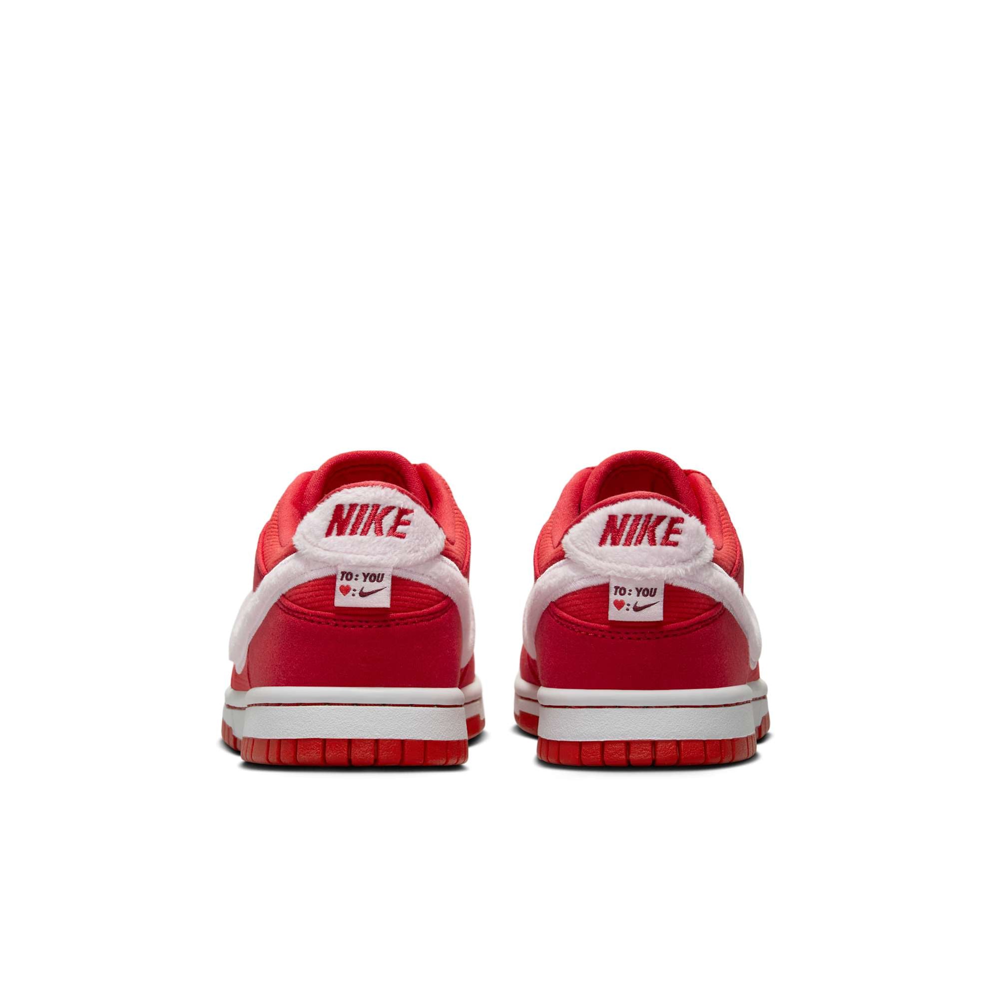 [FZ3548-612] GRADE SCHOOL NIKE DUNK LOW