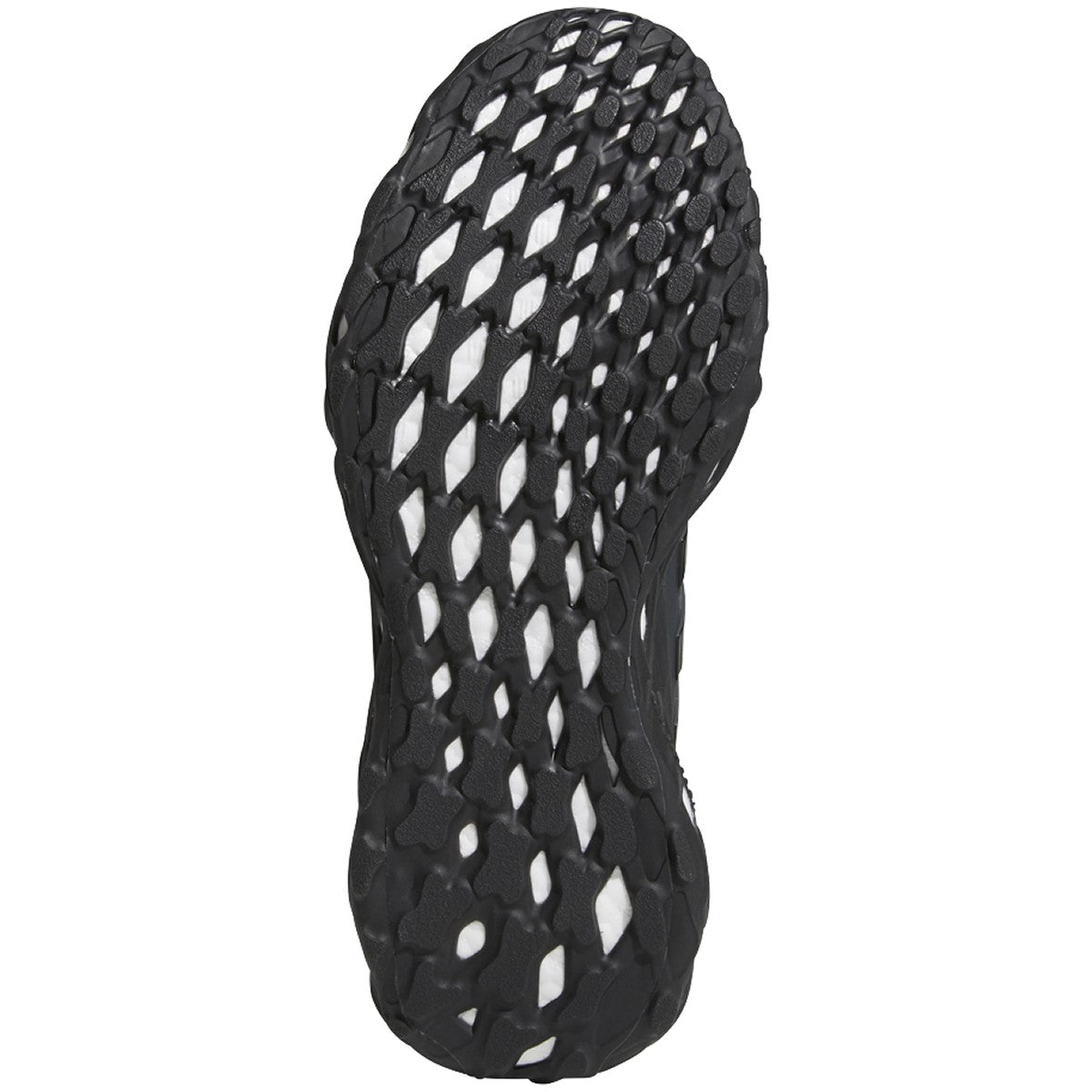 [GY4173] Mens Adidas ULTRABOOST WEB DNA