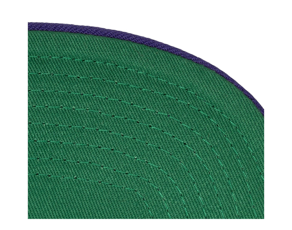 [HHSS3267-CHOYYPPPTLPR] MENS NBA CHARLOTTE HORNETS TEAM 2 TONE 2.0 SNAPBACK