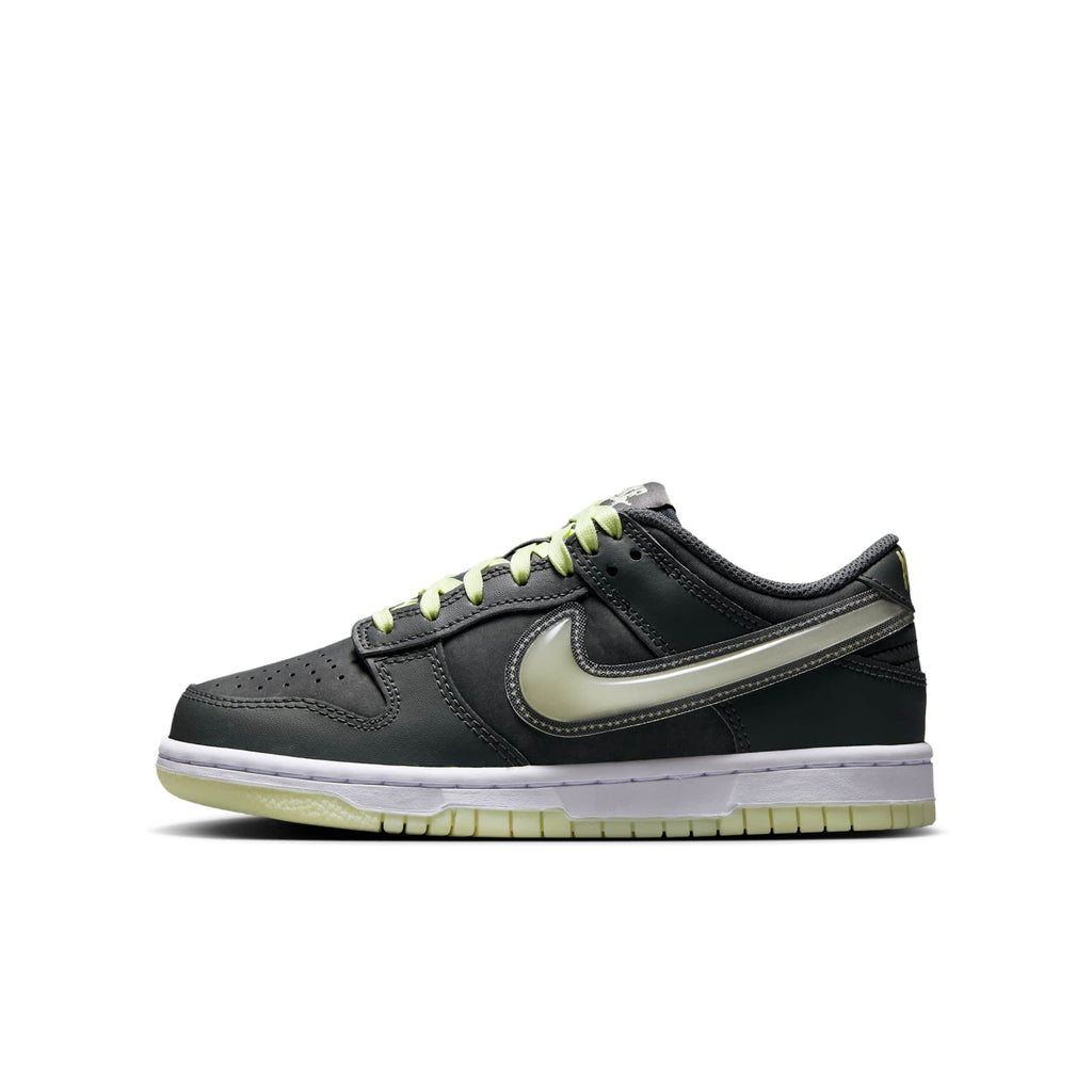 [HQ3569-068] GRADE SCHOOL NIKE GS DUNK LOW