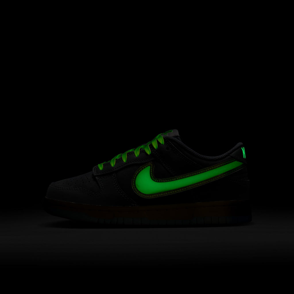 [HQ3569-068] GRADE SCHOOL NIKE GS DUNK LOW